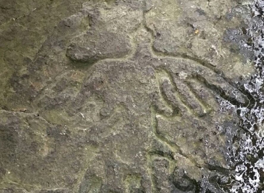 Появился из ниоткуда: в Башкирии выявили петроглиф, имеющий сходство с кондором на плато Наска 
