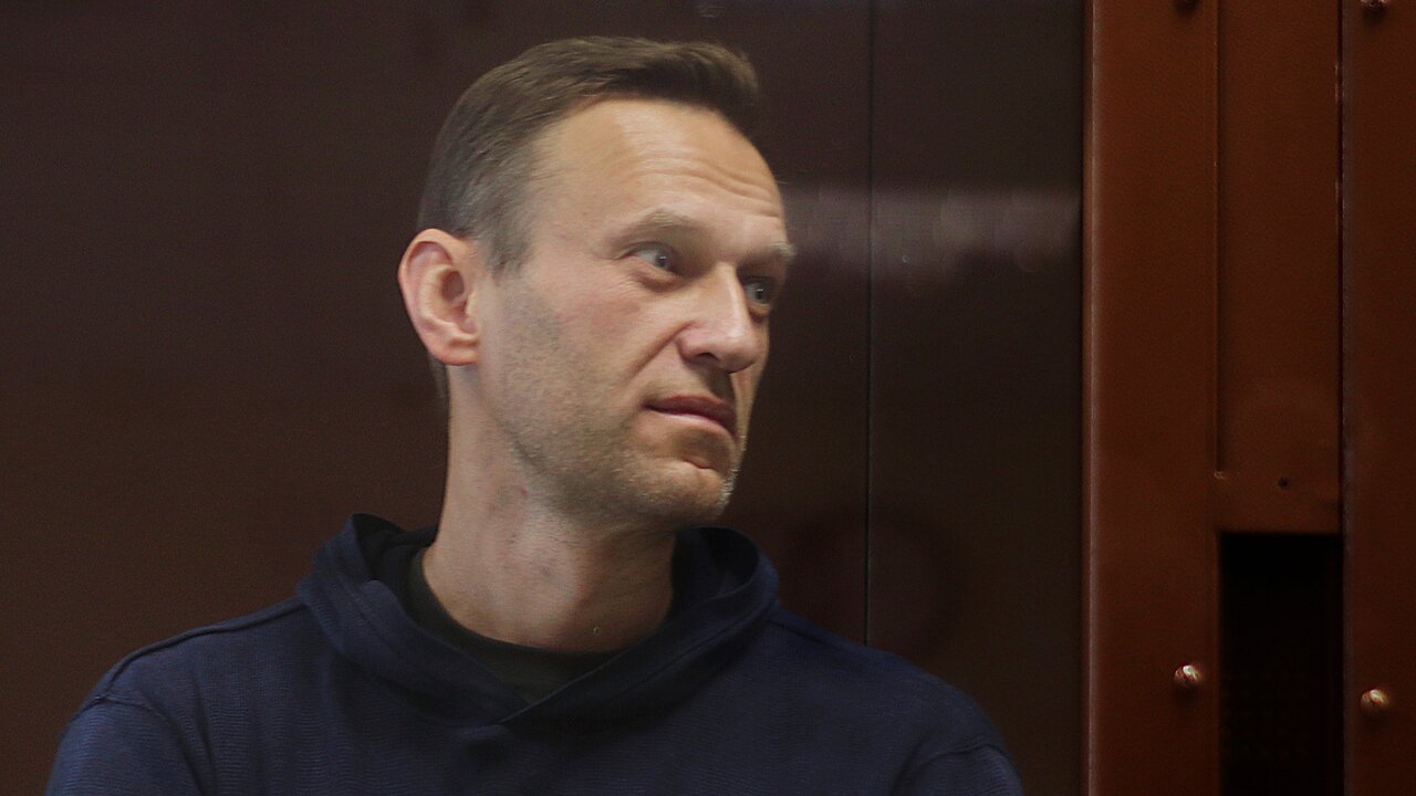 Навальный не признал вину по делу о клевете на ветерана 