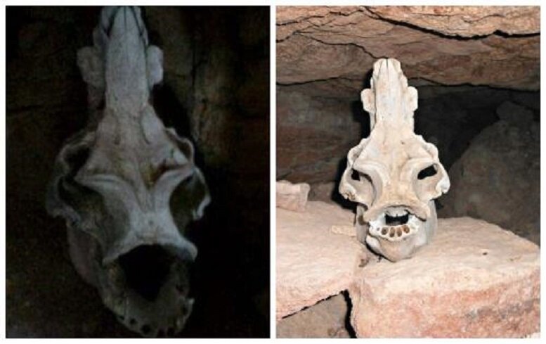 Поклонялись, а затем восстали: в Гвадалахарской пещере нашли свидетельства битвы майя с инопланетянами