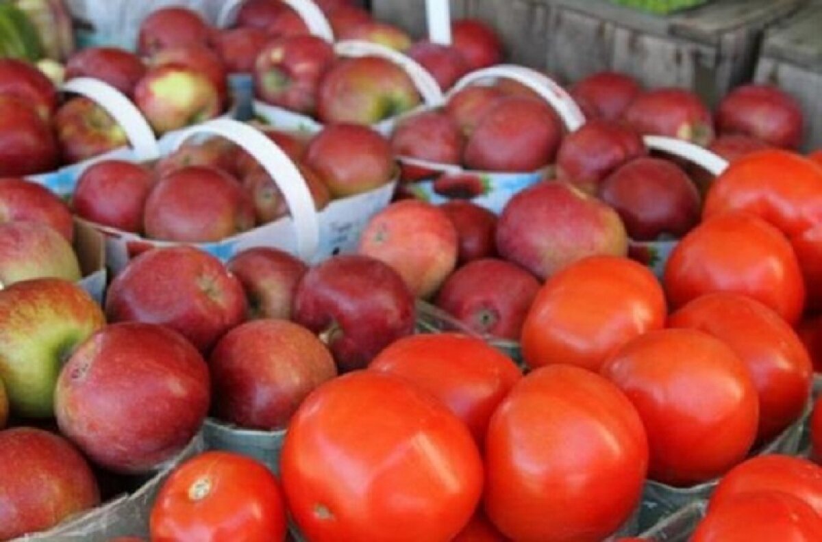 Россельхознадзор запретил поставку яблок и томатов из Азербайджана и назвал причину