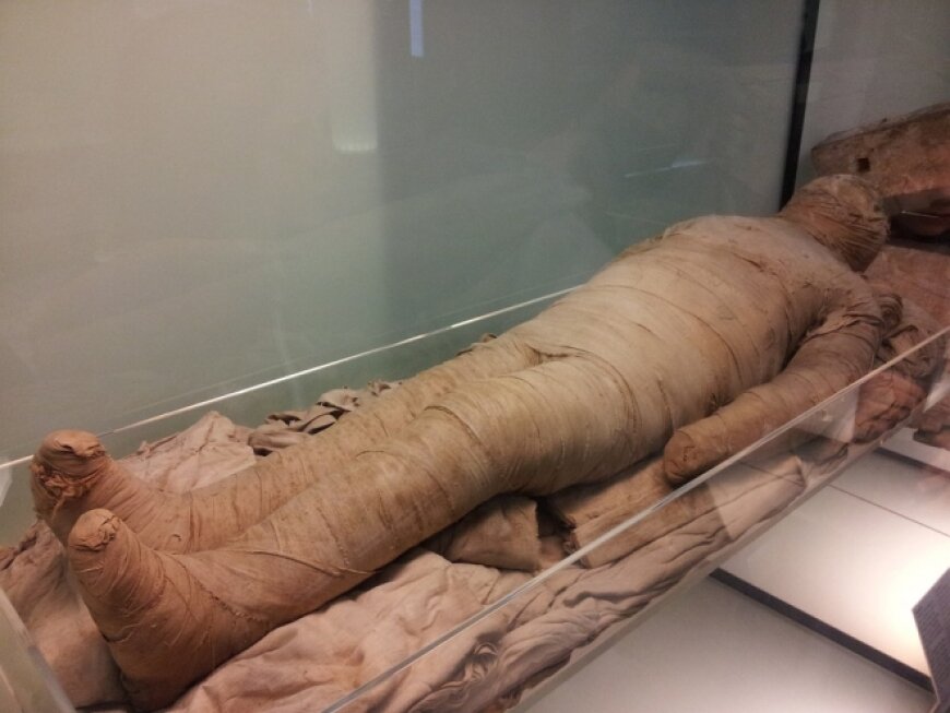 Ученые разгадали страшную тайну, которую в себе таила одна из мумий Эрмитажа 