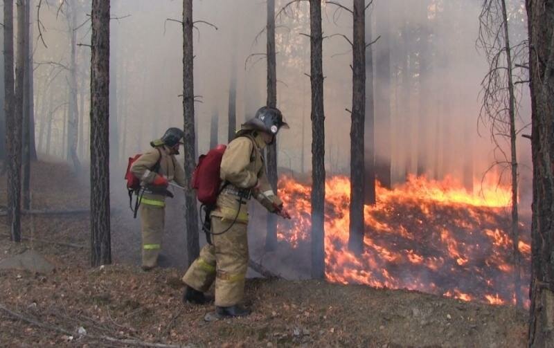 Огонь угрожает двухмиллионному Иркутску: МЧС выступило с экстренным обращением