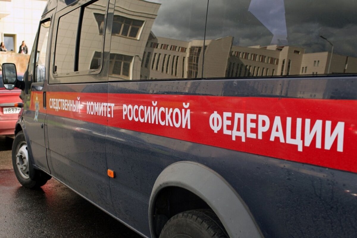 Джумаева, подравшегося с ОМОНовцами в Москве, задержали в Псковской области