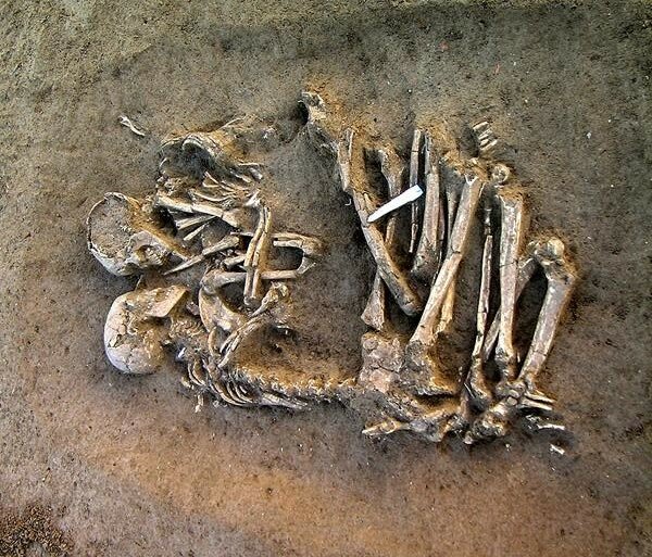​Под Омском нашли два обнимающихся человеческих скелета, закатанных в землю трактором