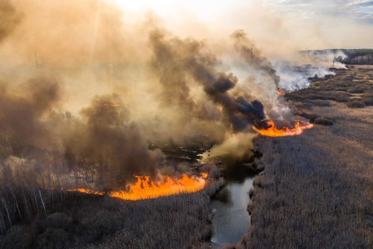 чернобыль, лес, пожар, чп, припять, происшествия, украина сегодня, зеленский, геращенко, что происходит