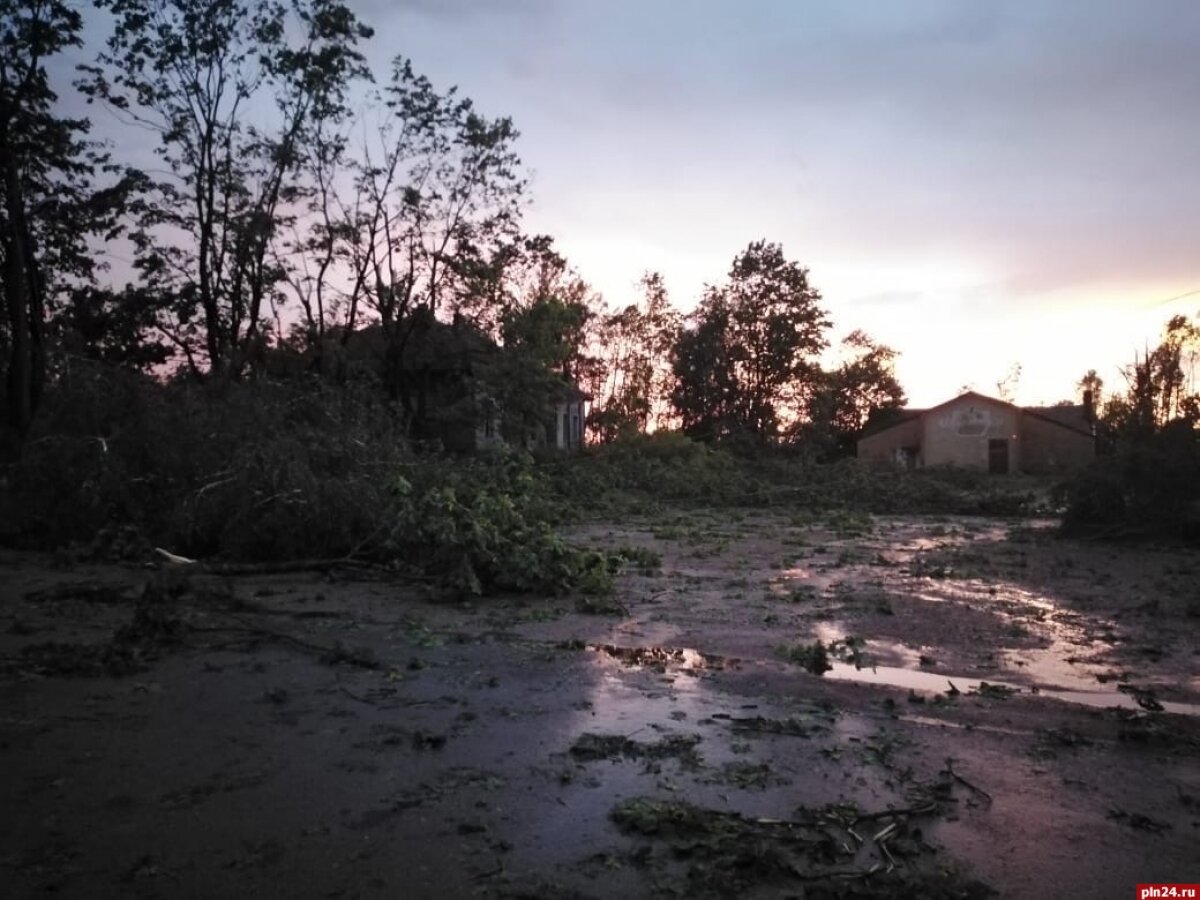 ​Шквальный ветер, ливень и град: по Псковской области пронесся ураган