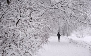 ​В Москву идут лютые морозы: синоптики сообщили о погоде на выходных днях