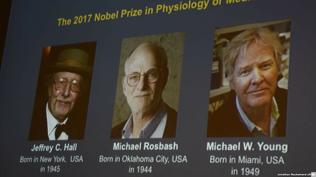 В Стокгольме объявили лауреатов Нобелевской премии по физиологии и медицине