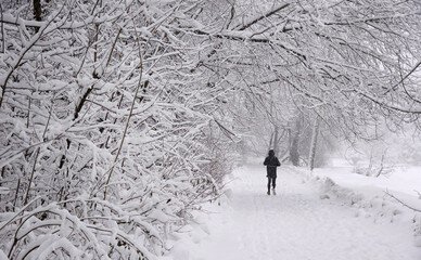 ​В Москве выпадет снег и образуется гололед: синоптики рассказали о погоде на выходные