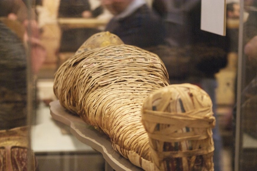 Тайна мумий Наска пала: останки, найденные в Перу, принадлежат инопланетным рептилиям 