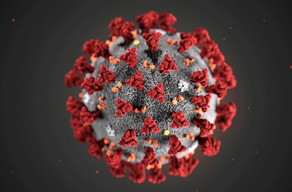 Виноваты два коронавируса - молекулярные биологи выступили с неожиданным заявлением