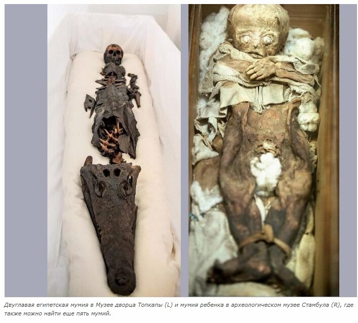 Разгадан феномен уникального захоронения: в Турции найдена мумия полудевушки-полукрокодила 