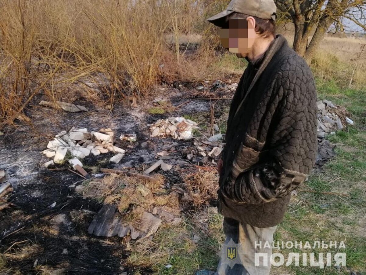 чернобыль, лес, пожар, чп, припять, происшествия, украина сегодня
