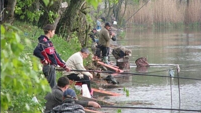 В России узаконили норму о бесплатном рыболовстве в личных целях