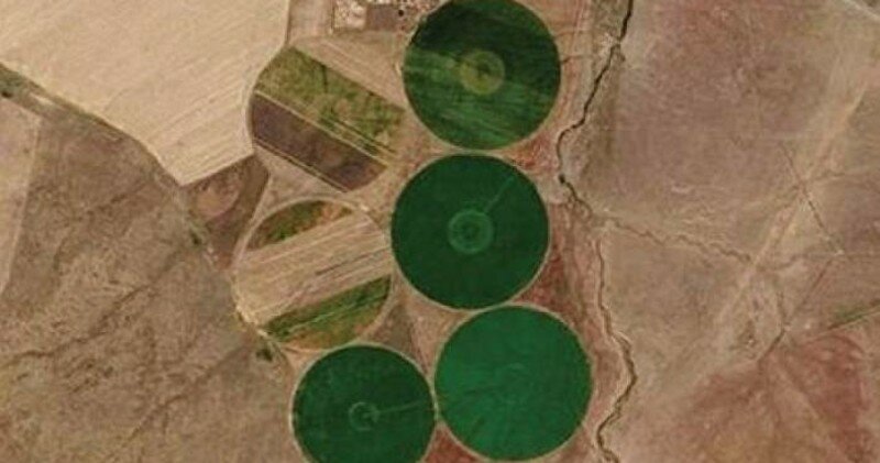 Сюрприз от внеземных цивилизаций: в Казахстане выявлены громадные круги на полях 