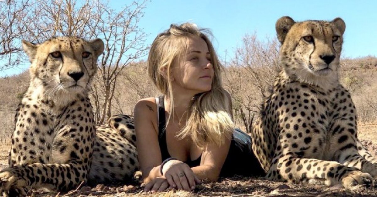 Живет и спит с гепардами: в Южной Африке девушка всю жизнь провела среди диких животных - кадры