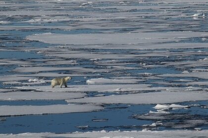 Ученые хранили в тайне, что летом в Арктике бушевала 35-градусная жара 