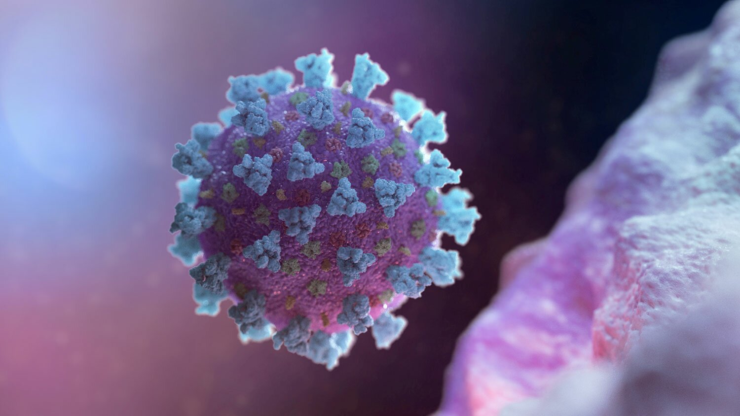 Вирусолог назвал оптимальную температуру для распространения коронавируса