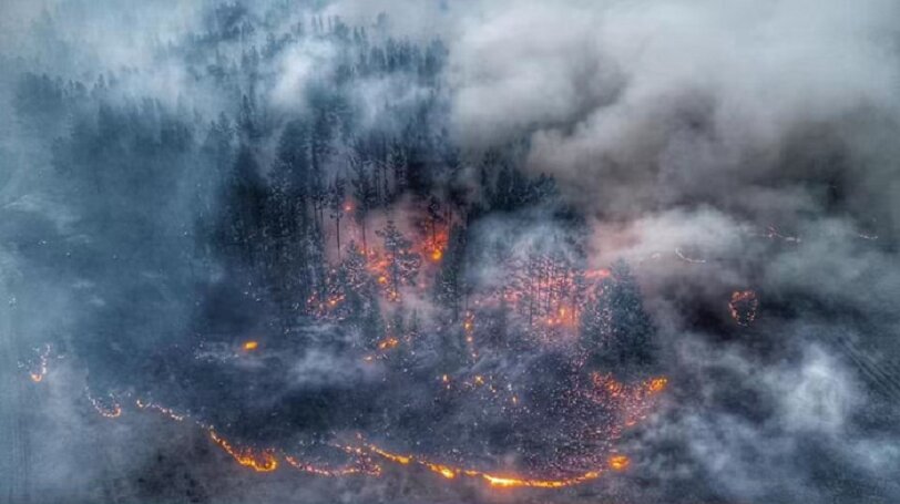 Масштабные пожары в Иркутской области: следствие рассказало, как найдет виновных