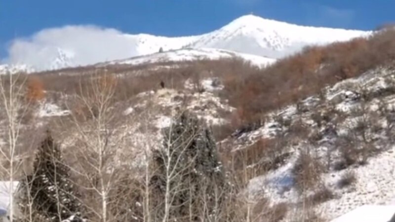Йети бегал по горному склону: американцы увидели криптида на открытой местности – кадры 