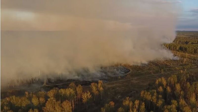 Масштабный пожар на военном полигоне в Удмуртии: в Сети появились впечатляющие кадры из эпицентра ЧС