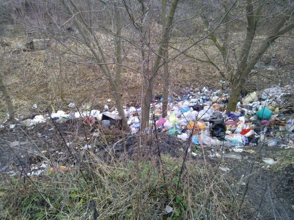 Саратовского чиновника уволили за "отфотошопленный" мусор