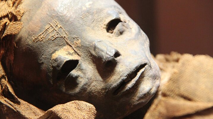В Египте обнаружены мумии инопланетян - археологи уверены: они всегда были среди нас