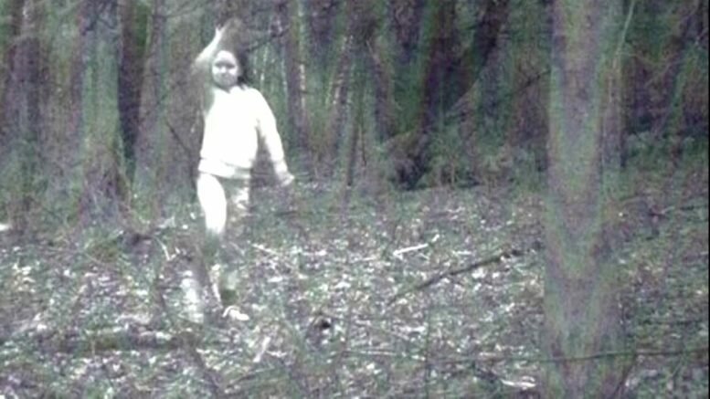 Аномалия во время рыбалки: в лесу студенты увидели белесого фантома 
