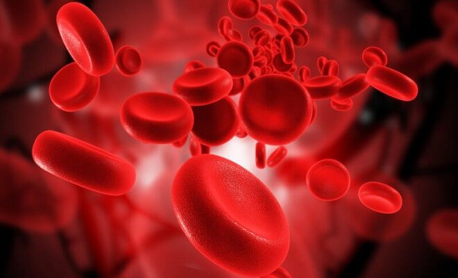 Названа "сильнейшая" группа крови, защищающая от онкологии