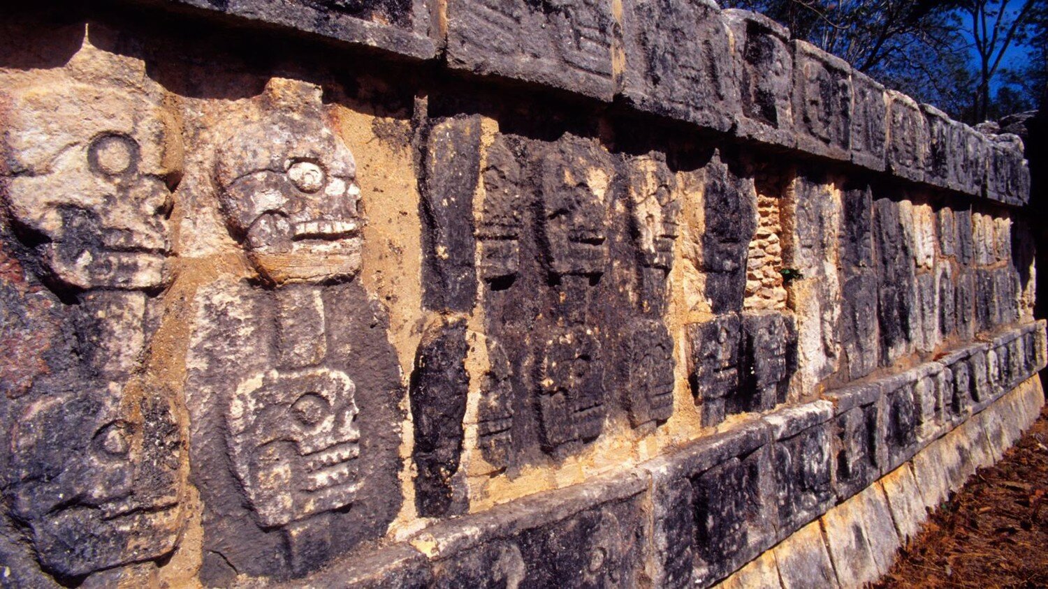 Новое открытие в научном мире: в Гватемале найдена одна их древнейших королевских гробниц цивилизации майя 
