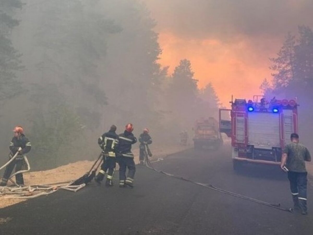 Лесные пожары в Луганской области: погибли 6 человек, сгорели десятки домов, на помощь призвали армию