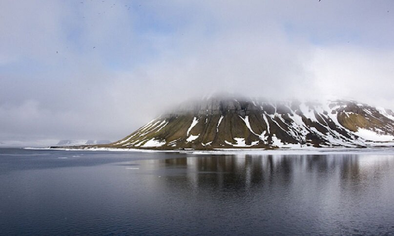 Российские ученые удивили открытием громадного оазиса в Арктике 