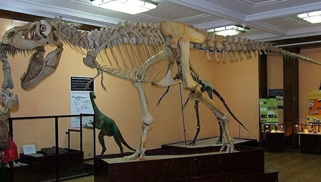 Не имеет аналогов в мире: в Самаре выявлен череп уникального ветлугазавра, жившего в триасовом периоде 