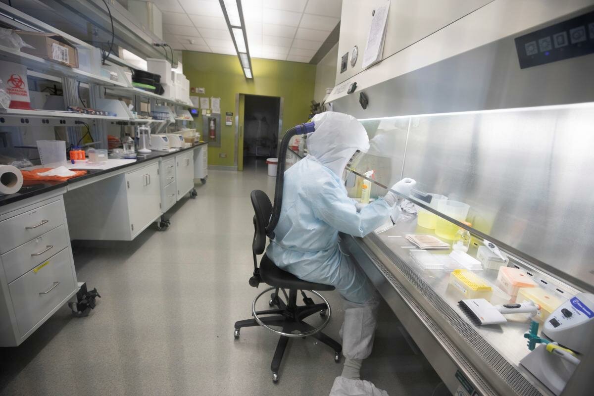 Китай обнаружил информацию о коронавирусе в американском журнале Nature Medicine за 2015 год