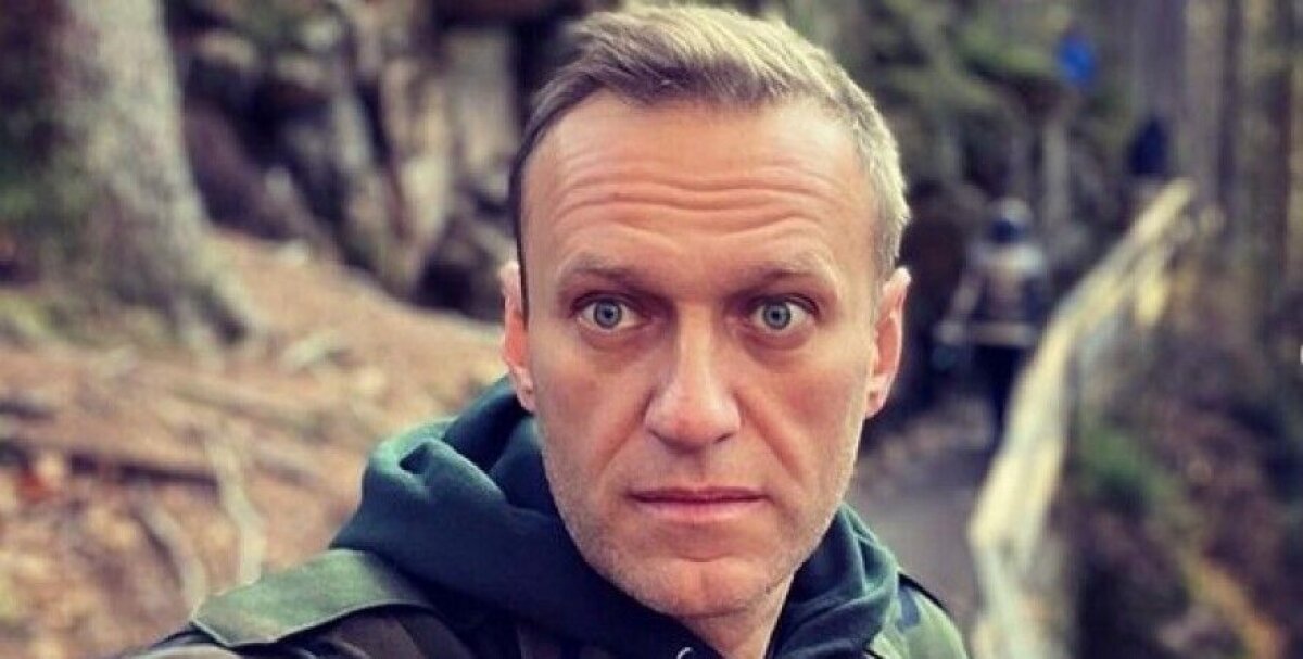 Во Внуково пообещали встретить Навального так же "достойно", как "самолеты из Германии в 1941-м"
