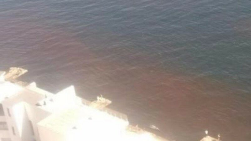 Море внезапно ʺпоржавелоʺ: одесситы посетовали на коричневые пятна в водах Черного моря 