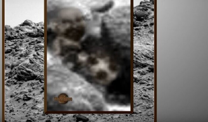 Марсоход Opportunity поменял представление о Марсе: на планете сняли видео с бородатым марсианином 
