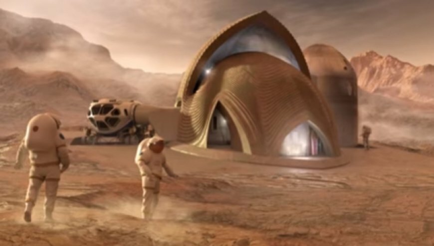 Выявлены признаки жизни на Марсе: уфолог выявил останки существа, которое похоже на обитателя земных морей 