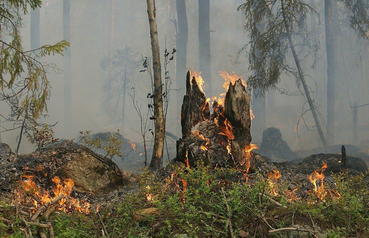 ​Перевал Дятлова охвачен огнем – на борьбу с пожаром брошена спецтехника, детали