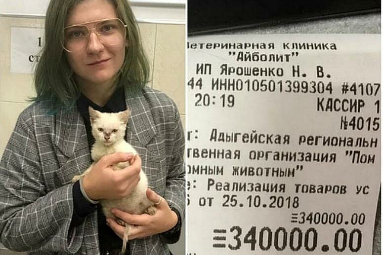 СМИ выяснили, откуда студентка, спасшая животных в приюте Майкопа, взяла 340 тыс. рублей