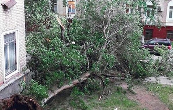 Поваленное ураганом дерево упало сверху на заполненную людьми маршрутку