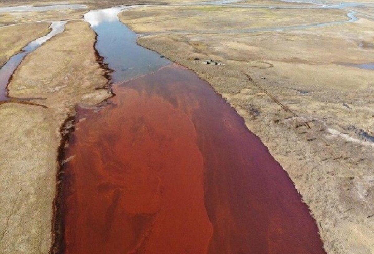 В Сети показали, как выглядит река Амбарная после разлива нефтепродуктов в Норильске
