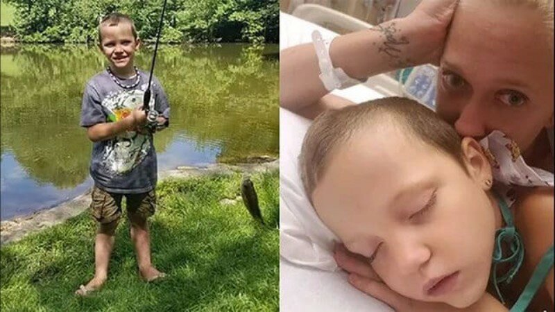 Смертоносный недуг от насекомого: укус комара едва не убил 6-летнего ребенка 