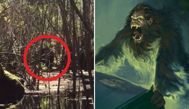 Мистическая скунсовая обезьяна: американец среди болот заметил невиданного ранее монстра – кадры 