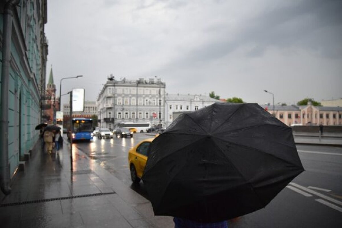 Грозы, град и порывы ветра - Москву 8 июля ожидают погодные катаклизмы