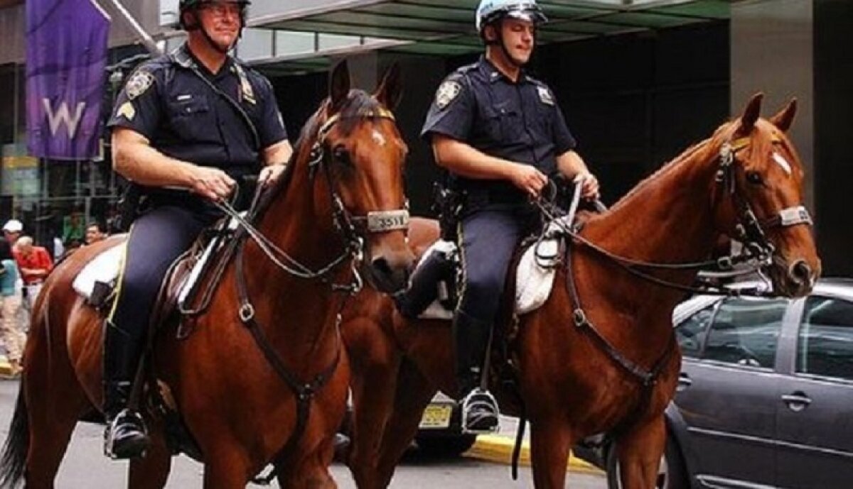 Чикаго, протест, украл, лошадь, полицейский, видео, США, смерть, Джордж Флойд