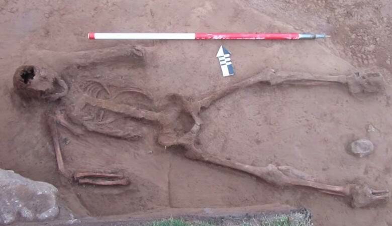 Возможные останки циклопа или гуманоида: в проливе Ла-Манш выявили скелет загадочного создания – кадры 