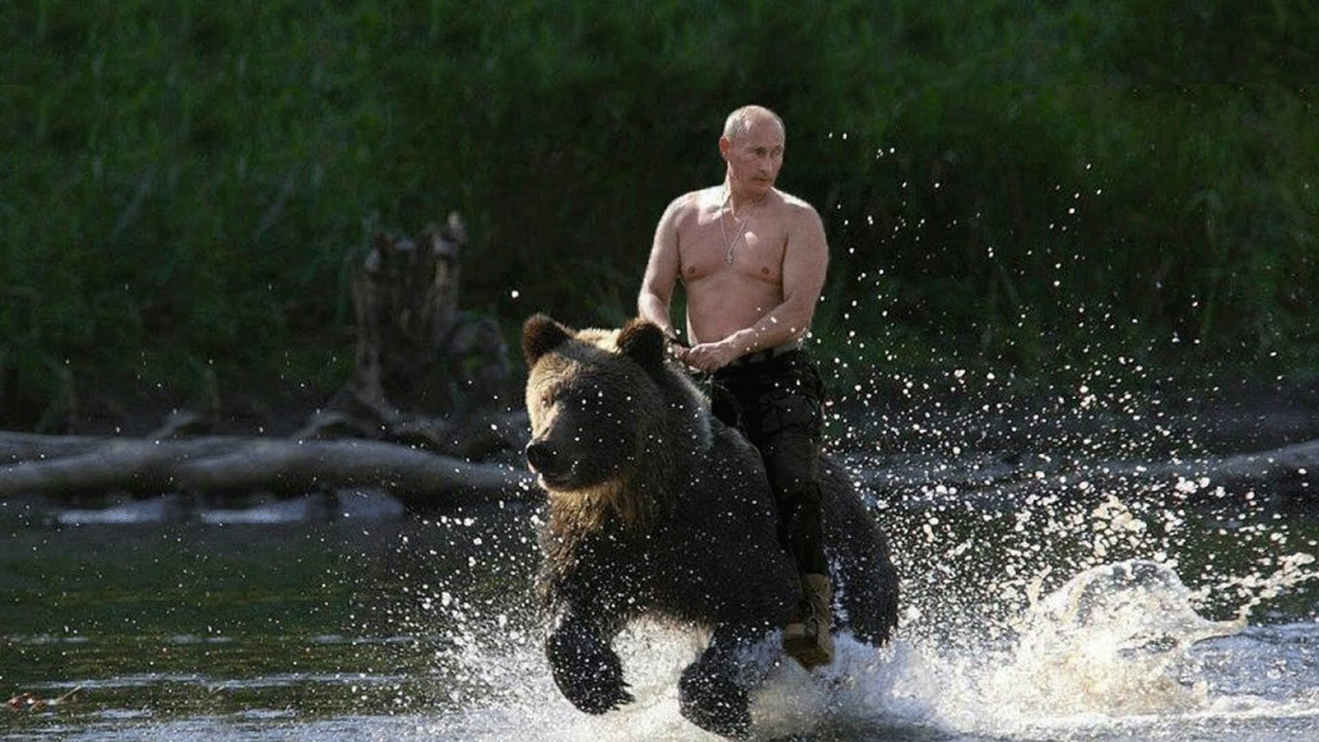 Путин оценил свое яркое фото в расслабленной обстановке на природе с хищником