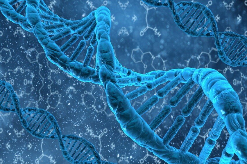 Сенсационное открытие генетиков: медики научились менять пол зародышу 