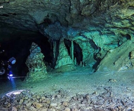 Открытие подводных археологов: в черепе человека ледникового периода найден 9000-летний микрочип